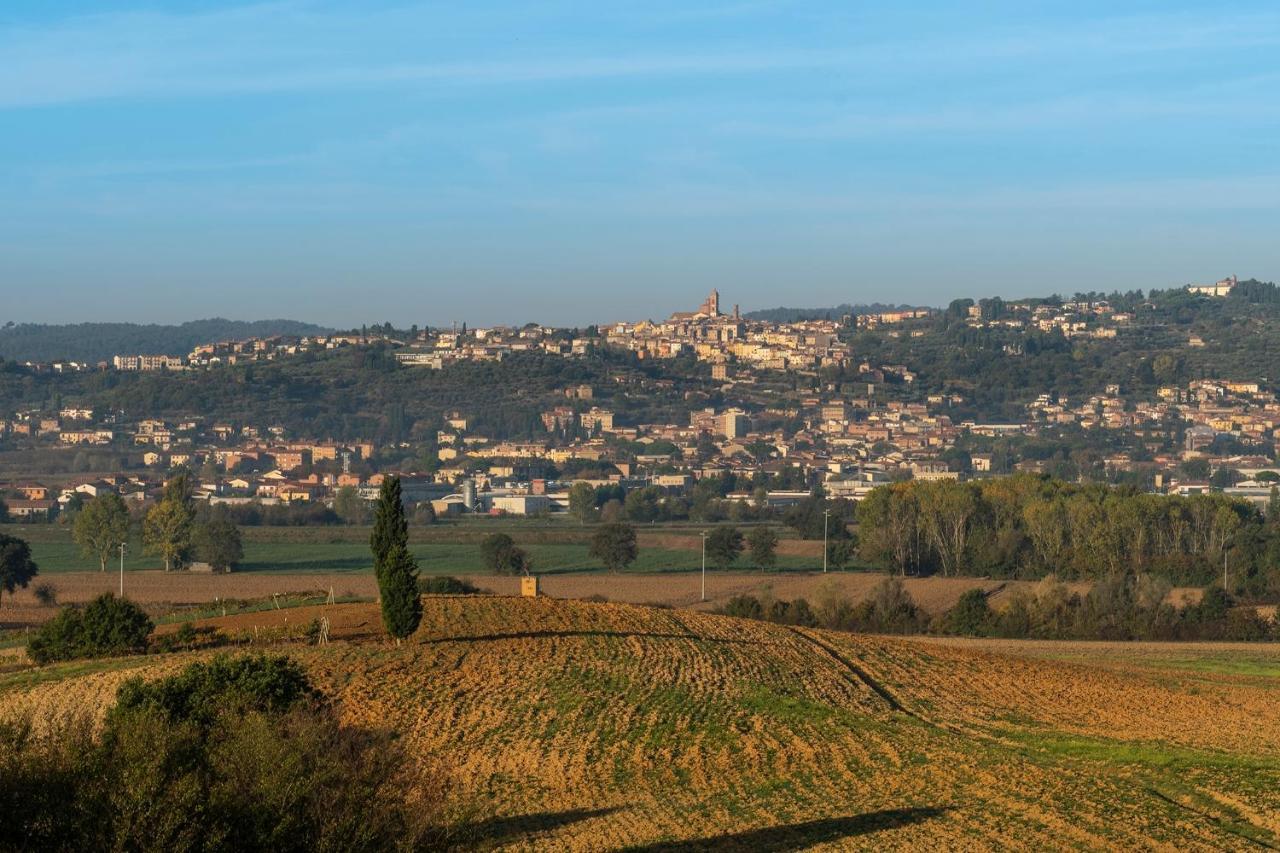 Podere Abbazia B&B 西纳伦加 外观 照片